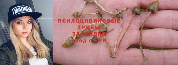 прущие грибы Алексеевка