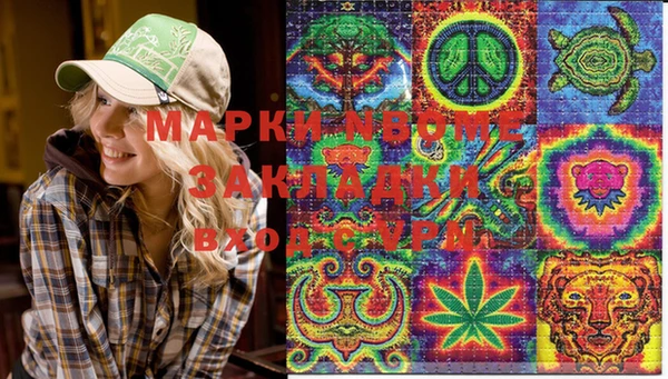 тгк Алексин