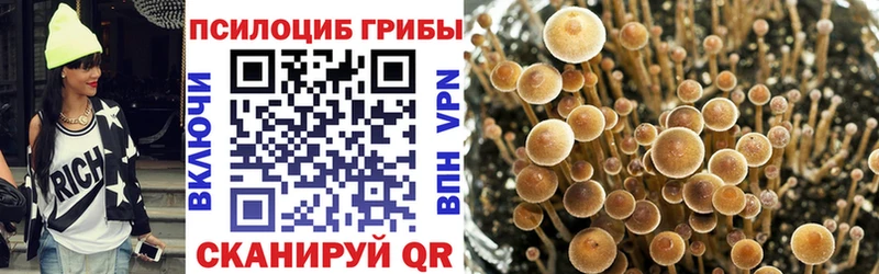 закладки  мега онион  Псилоцибиновые грибы Magic Shrooms  Дно 